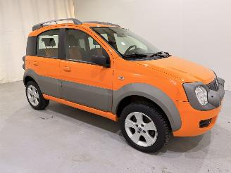 škoda osobní automobily Fiat Panda Cross 1.3D 4x4 68.000KM 2006/11