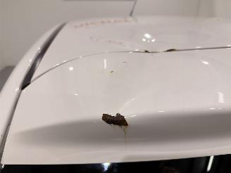 Peugeot 108 HB 1.0 e-VTi Active Airco picture 34