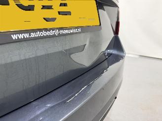 Skoda Octavia Combi 1.0 TSI Business Ed. Plus picture 42