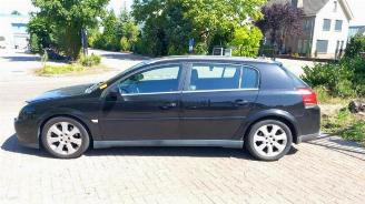 Opel Signum Signum (F48), Hatchback 5-drs, 2003 / 2008 3.2 V6 24V picture 4