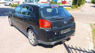 Opel Signum Signum (F48), Hatchback 5-drs, 2003 / 2008 3.2 V6 24V picture 5