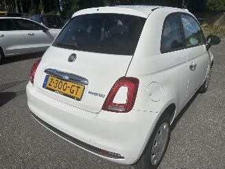 Fiat 500 1.0 Urban Hybrid picture 4