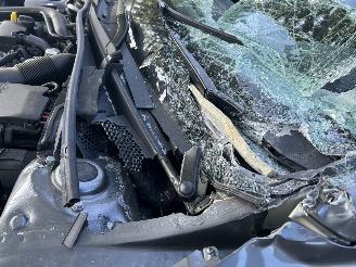 Skoda Fabia 1.0 TSI   Automaat  Monte Carlo  ( Panoramadak ) picture 12