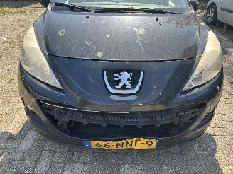 Peugeot 207 SW  1.4 picture 2