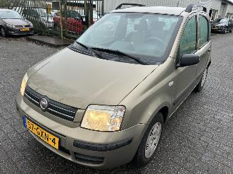 Fiat Panda 1.2 picture 1