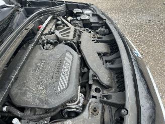 BMW X2 sdrive 1.6 Diesel   automaat picture 11