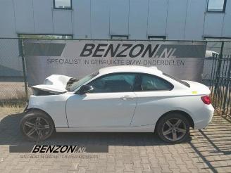 rozbiórka samochody osobowe BMW 2-serie 2 serie (F22), Coupe, 2013 / 2021 218i 1.5 TwinPower Turbo 12V 2016/9