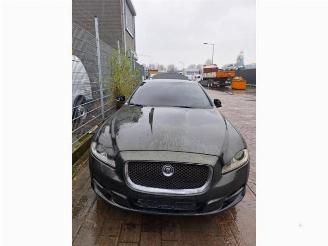 Jaguar XJ XJ (X351), Sedan, 2009 / 2019 3.0 D V6 24V picture 7