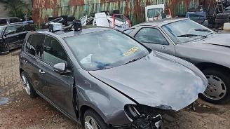 Volkswagen Golf Golf VI (5K1), Hatchback, 2008 / 2013 2.0 GTI 16V picture 6