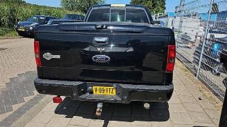 Ford USA F-150 F-150, Pick-up, 2003 / 2008 5.4 V8 4x4 picture 9