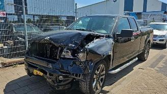 Ford USA F-150 F-150, Pick-up, 2003 / 2008 5.4 V8 4x4 picture 3