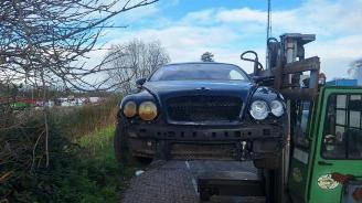 Bentley Continental GT Continental GT, Coupe, 2003 / 2018 6.0 W12 48V picture 4