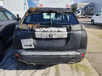 Peugeot 2008 P24E 1.2P Aut picture 5