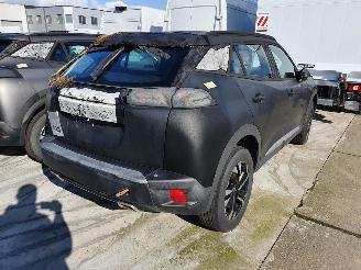 Peugeot 2008 P24E 1.2P Aut picture 6