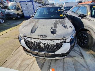 Peugeot 2008 P24E 1.2P Aut picture 2