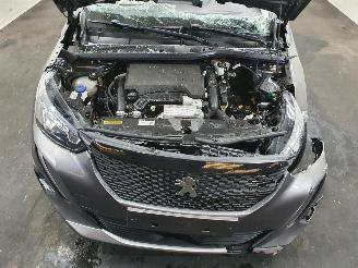 Peugeot 2008 P24E 1.2 PT Business Line Allure picture 19