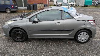 Peugeot 207 KTN picture 8