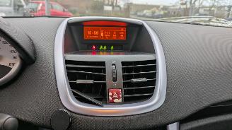 Peugeot 207 KTN picture 11