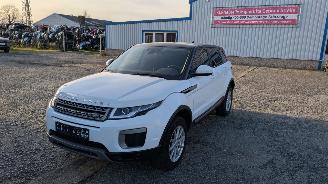 Salvage car Land Rover Range Rover Evoque JLR M66 2WD 2016/6
