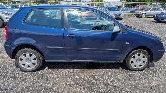 Volkswagen Polo 9N picture 4