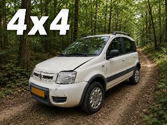 Unfallwagen Fiat Panda 1.2 Climbing 4x4 2010/4