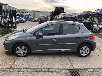 uszkodzony samochody osobowe Peugeot 207 14i 16v 70kW 5 drs Clima 2009/7
