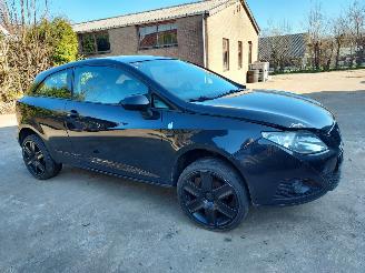 Seat Ibiza  picture 5