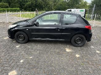 Peugeot 206+  picture 2