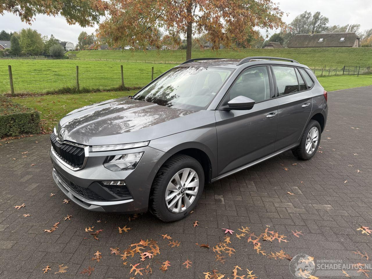 Skoda Kamiq Corporate