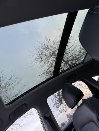 MG ZS EV Luxury 45 kWh / Panorama / Leer picture 7