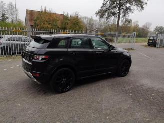 Land Rover Range Rover Evoque Range Rover Evoque (LVJ/LVS), SUV, 2011 / 2019 2.2 TD4 16V picture 18
