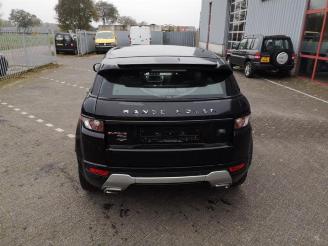 Land Rover Range Rover Evoque Range Rover Evoque (LVJ/LVS), SUV, 2011 / 2019 2.2 TD4 16V picture 14