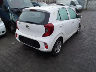 Kia Picanto Picanto (JA), Hatchback, 2017 1.0 12V picture 4