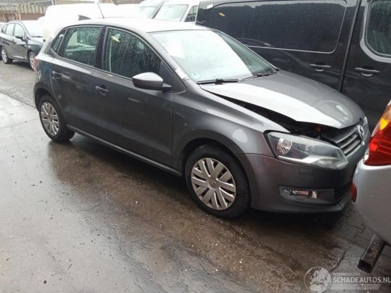 Volkswagen Polo Polo V (6R), Hatchback, 2009 / 2017 1.2 12V BlueMotion Technology