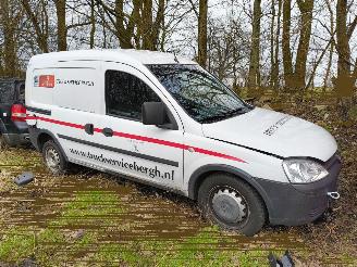 demontáž osobní automobily Opel Combo 1.3 CDTi Base 2009/12