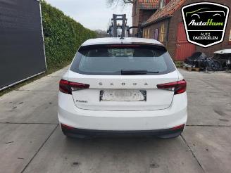 Skoda Fabia Fabia IV (PJ3), Hatchback 5-drs, 2021 1.0 TSI 12V picture 8