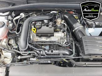 Skoda Fabia Fabia IV (PJ3), Hatchback 5-drs, 2021 1.0 TSI 12V picture 19