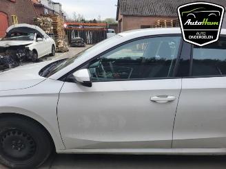 Skoda Fabia Fabia IV (PJ3), Hatchback 5-drs, 2021 1.0 TSI 12V picture 5