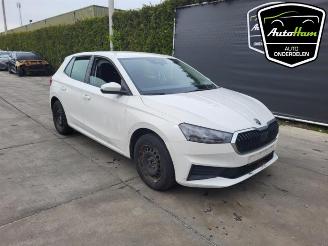 Skoda Fabia Fabia IV (PJ3), Hatchback 5-drs, 2021 1.0 TSI 12V picture 2
