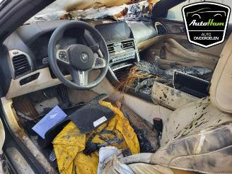 BMW M8 M8 (F91), Cabrio, 2019 M850i xDrive Twin Turbo V8 32V picture 7