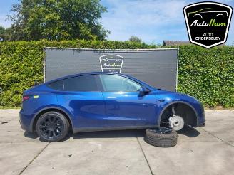Vrakbiler auto Tesla Model Y Model Y (5YJY), SUV, 2019 Long Range 72kWh 2023/7