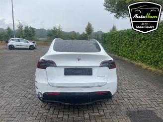 Tesla Model Y Model Y (5YJY), SUV, 2019 Long Range 72kWh picture 11