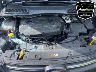 Ford Kuga Kuga II (DM2), SUV, 2012 1.6 EcoBoost 16V picture 24