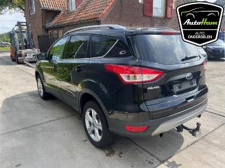 Ford Kuga Kuga II (DM2), SUV, 2012 1.6 EcoBoost 16V picture 15