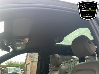 Mercedes V-klasse V (447.8), MPV, 2014 2.0 300d 16V picture 19