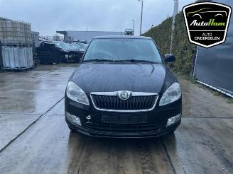 Skoda Fabia Fabia II (5J), Hatchback 5-drs, 2006 / 2014 1.2 TSI picture 3