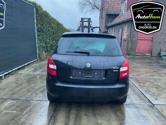 Skoda Fabia Fabia II (5J), Hatchback 5-drs, 2006 / 2014 1.2 TSI picture 7