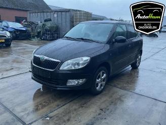 Skoda Fabia Fabia II (5J), Hatchback 5-drs, 2006 / 2014 1.2 TSI picture 4