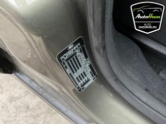 Ford S-Max S-Max (GBW), MPV, 2006 / 2014 2.0 16V picture 15