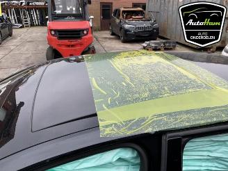 Volkswagen Golf Golf VII (AUA), Hatchback, 2012 / 2021 2.0 R 4Motion 16V picture 24